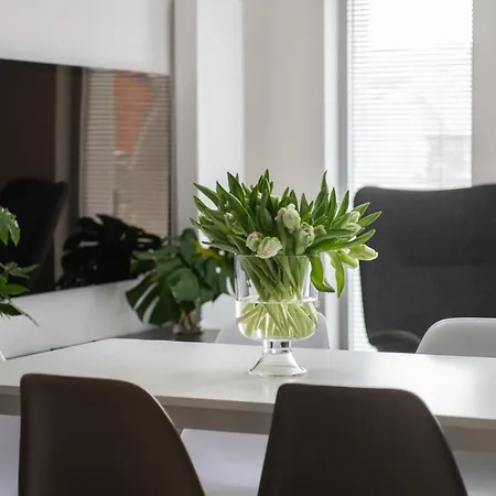 Ap66 Centrum Apartamento Gdansk