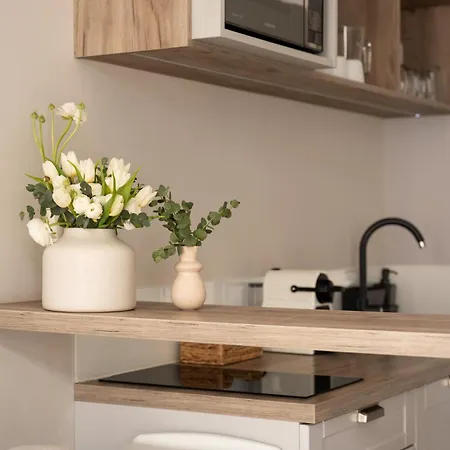 Apartment Ap66 Centrum *