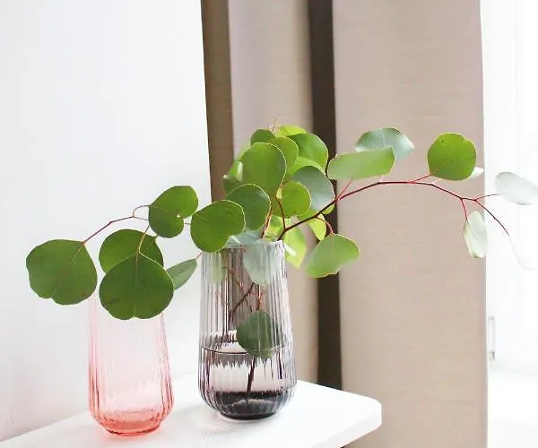 Apartamento Ap66 Centrum Gdańsk