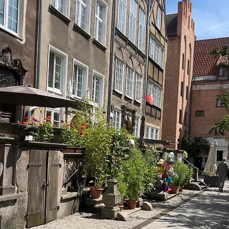 Ap66 Centrum Danzig